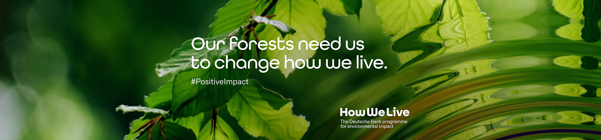 Our forests need us to change how we live