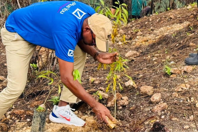 Volunteering-at-Sri-Lanka-forrest-corridor
