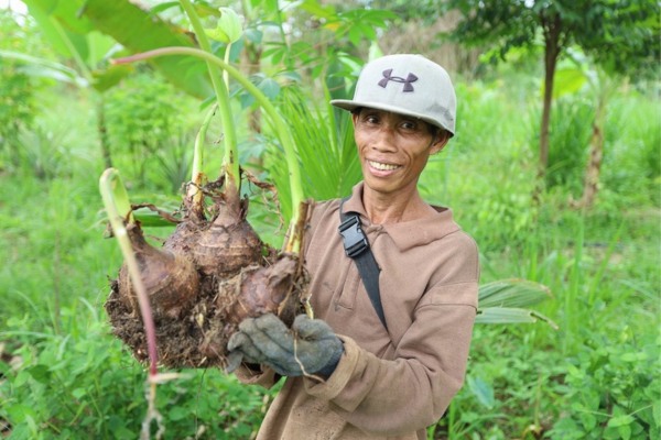 DB-Global-Peace-Foundation-regenerative-agriculture-Malaysia