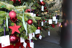 Weihnachtsbaumaktion im Winter