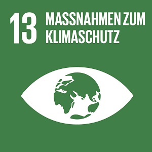 Sustainable Development Goal 13