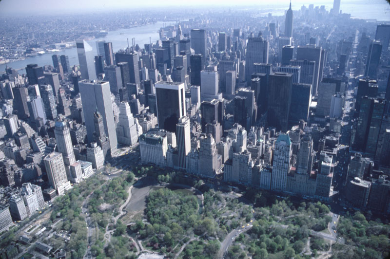 New York branch
