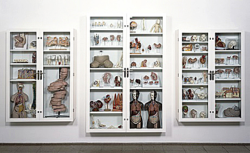 Objects of Wonder