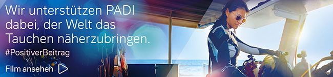 Positiver Beitrag PAID