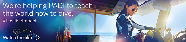 Helping PAIDI to teach the world - watch the film