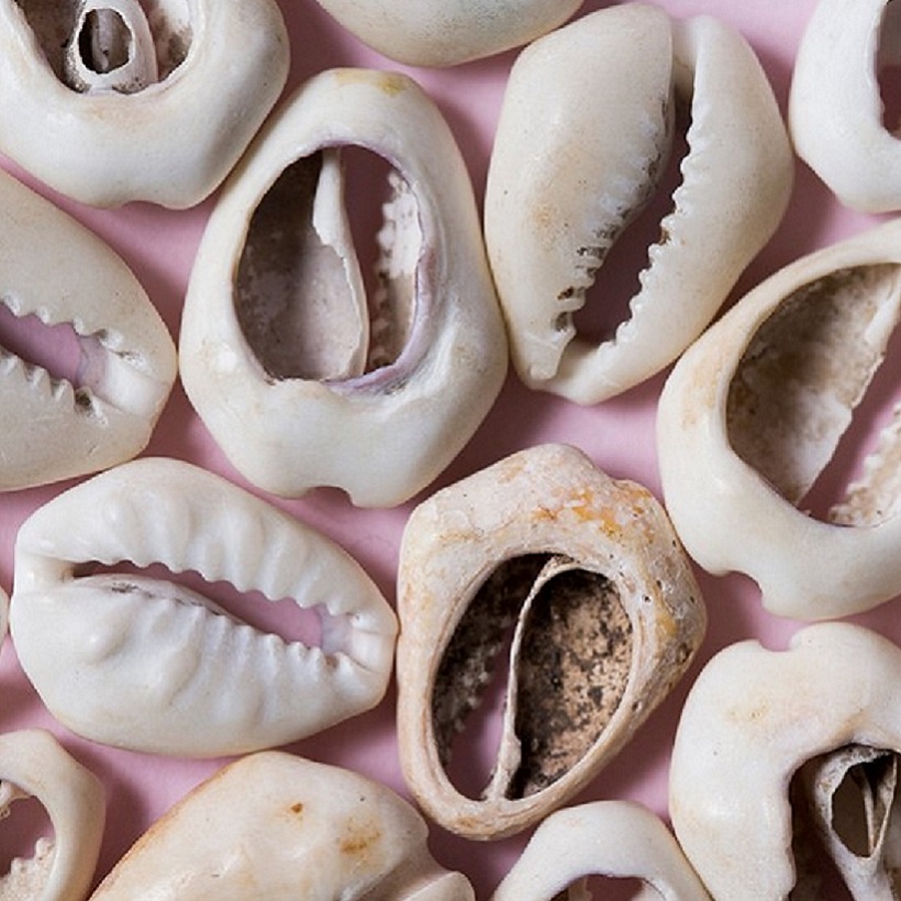 0-cowry-shells