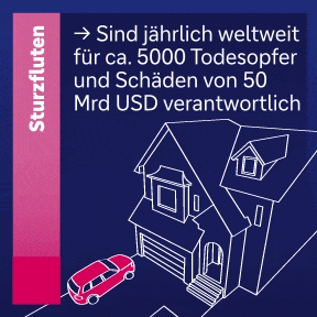 Sturzfluten sind j&auml;hrlich weltweit f&uuml;r ca 5000 Todesopfer und Sch&auml;den von 50 Mrd US Dollar verantwortlich