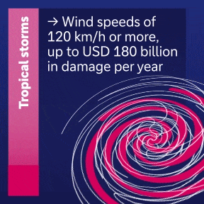 Tropical storms with wind speeds of 120 km/h or more cause up to 180 billion US dollars in damage per year